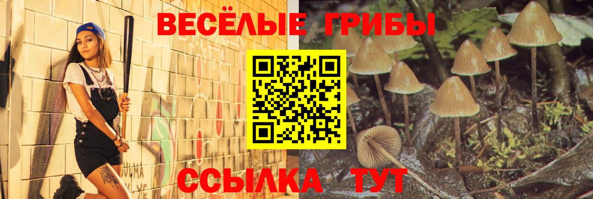Меф МЯУ МЯУ   Кострома  Кокаин  ГАШ  Лсд 25  Вход с VPN  Канабис 